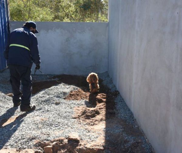 Realizan excavaciones en busca de Juliette