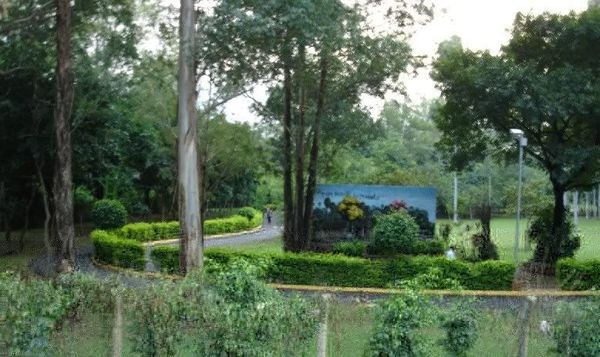 Desde el lunes la Ciclovía de San Lorenzo será habilitada con medidas sanitarias » Ñanduti