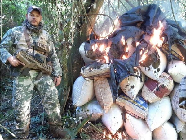 Destruyen 30 toneladas de marihuana en una reserva