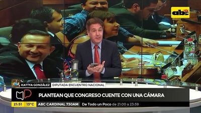 Plantean que Congreso cuente con una cámara - Mesa de Periodistas - ABC Color