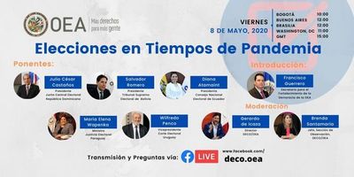 Ministra Wapenka presenta panorama electoral ante la OEA