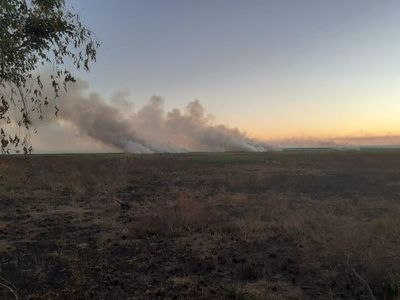 Incendio de gran magnitud en zona de reserva del Parque Nacional Ypacaraí - Nacionales - ABC Color