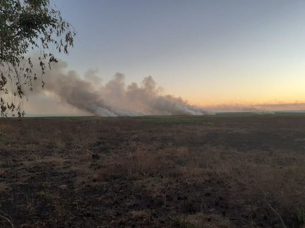 Incendio de gran magnitud en zona de reserva del Parque Nacional Ypacaraí - Nacionales - ABC Color