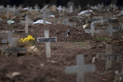 Brasil roza los 10.000 fallecidos por COVID-19 - Mundo - ABC Color