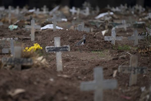 Brasil roza los 10.000 fallecidos por COVID-19 - Mundo - ABC Color