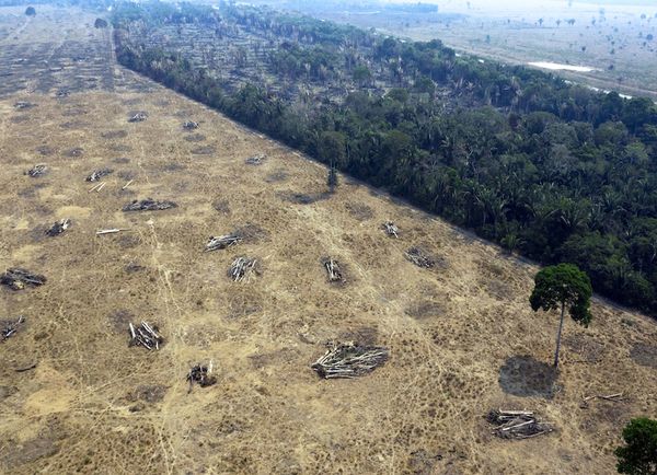 Nuevo récord de deforestación en la Amazonía brasileña