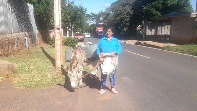 Burrerita: la tradición por sobre la Covid-19 | Crónica