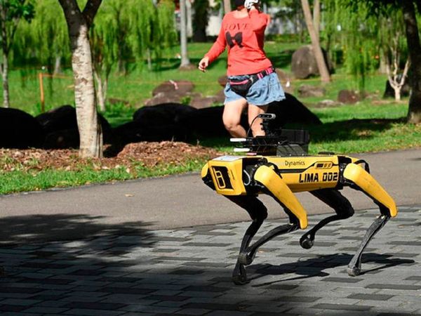Perro-robot mantiene la distancia social en los parques de Singapur