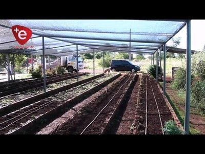 CAMBYRETÁ: MUNICIPIO REALIZA PREPARACIÓN DE SUELO Y PROMUEVE LA PRODUCCIÓN AGRÍCOLA