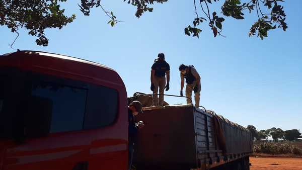 SENAD interceptó camión de gran porte repleto de marihuana en Alto Paraná - Megacadena — Últimas Noticias de Paraguay