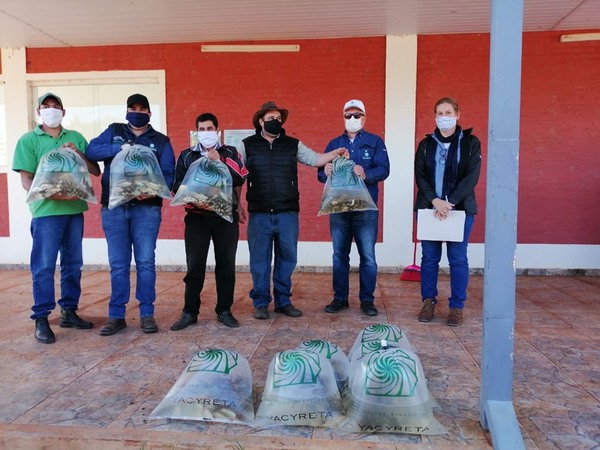 ENTREGA DE ALEVINES A PRODUCTORES DE NUEVA ALBORADA.