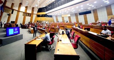 Comisiones analizarán recortes de privilegios