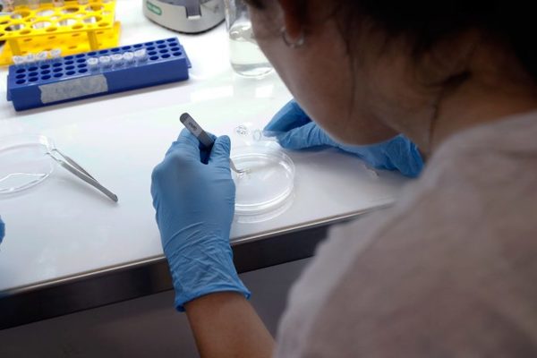 CIENTÍFICOS ARGENTINOS DESARROLLAN KITS QUE DETECTAN CORONAVIRUS EN UNA HORA