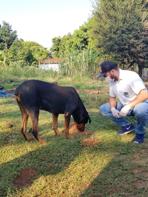 Animalero de oro da ¡todo! por los firulais | Crónica