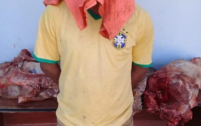 Apresan a joven que robó dos chanchos, celulares y un termo