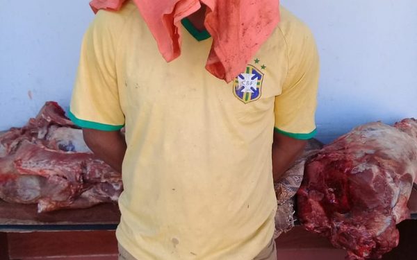 Apresan a joven que robó dos chanchos, celulares y un termo
