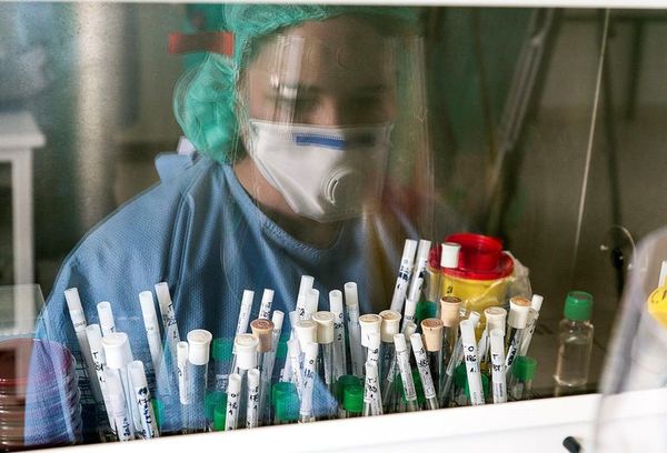 Más de 10.000 casos confirmados de COVID-19 en Sudáfrica - Mundo - ABC Color