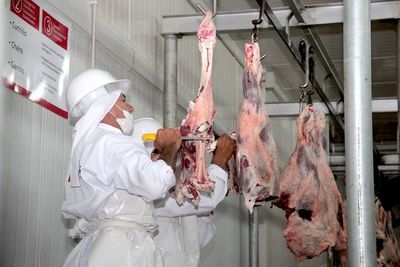 Con menos plantas operando, la faena de bovinos bajó 30,2%