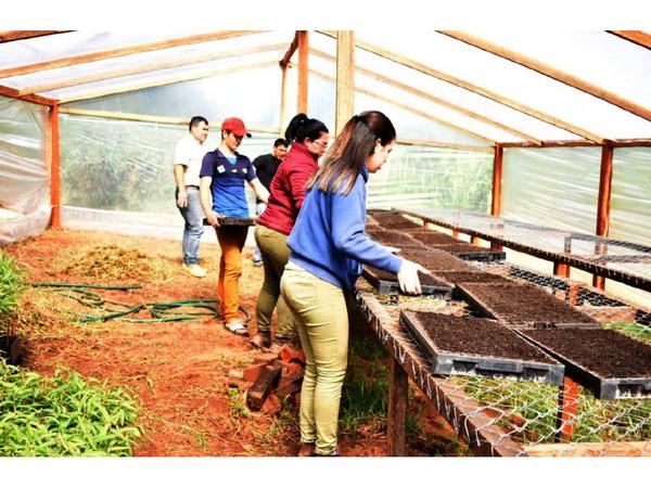 Estudiantes harán huerta en casa para aprender técnicas