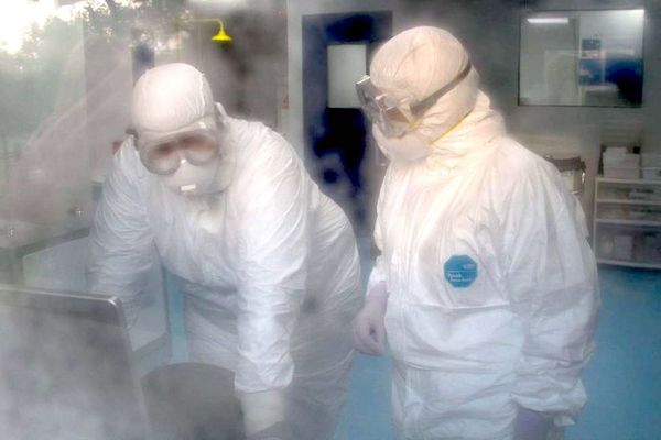 Funcionarios de blanco exigen insumos de bioseguridad