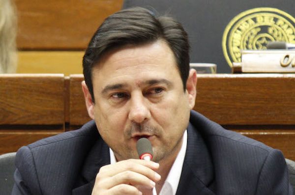 Buzarquis presenta proyecto de ley de incentivo a industria nacional
