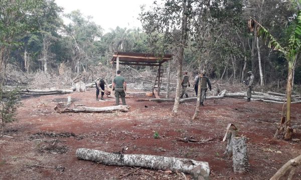 Constatan daños ambientales en reserva natural tras denuncia de ITAIPU