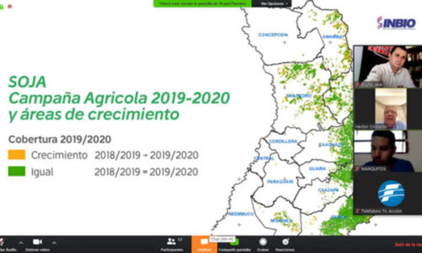 » Aumento de área, consolidación de pequeñas fincas y expectativas favorables de rendimiento