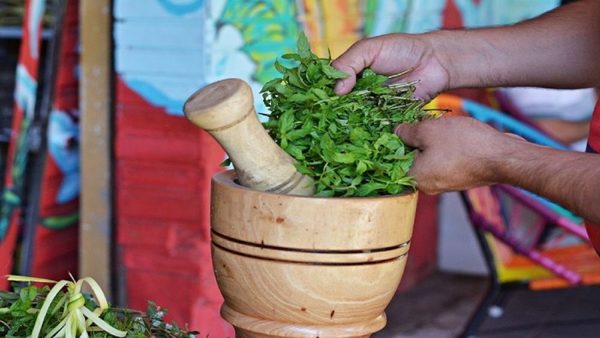 Ventas de remedios yuyos crecen con la llegada de bajas temperaturas