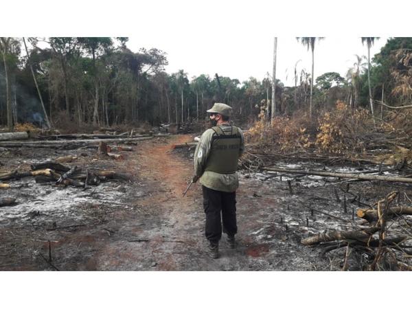 En reserva de Puerto Indio detectan tala de árboles nativos y desmonte