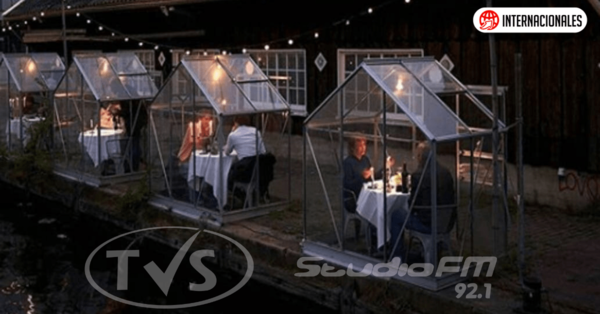 Mesas invernadero por coronavirus: el restaurante holandés que encontró una adorable solución