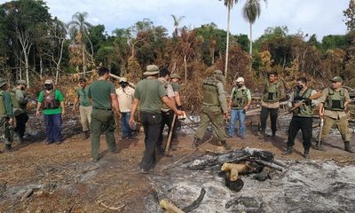 Constatan daños ambientales en reserva natural en la localidad de Puerto Indio – Diario TNPRESS