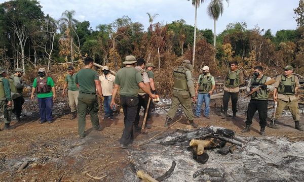 Constatan daños ambientales en reserva natural en la localidad de Puerto Indio – Diario TNPRESS