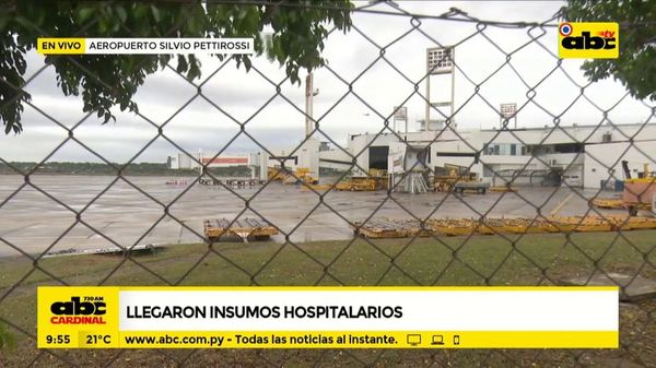 Diputadas controlan arribo de insumos hospitalarios - ABC Noticias - ABC Color