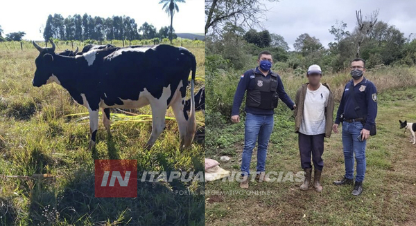 DETIENEN A PRESUNTO RESPONSABLE DE ABIGEATO EN MARIA AUXILIADORA. 