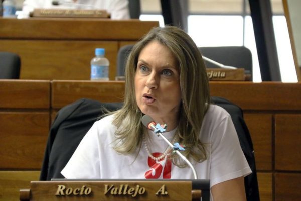 Lavarropas IPS: la investigación es lenta, según la diputada Vallejo