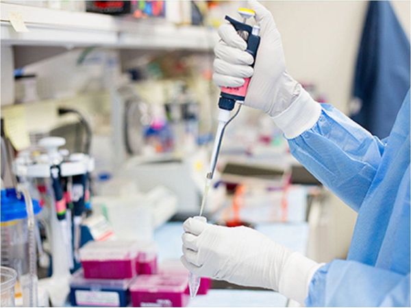 Plasma y placenta, alternativas que se estudian contra el Covid-19