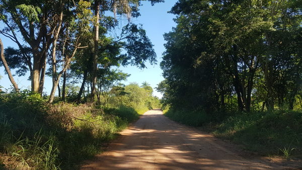 VIOLENTO ASALTO A COLONO EN VAKAY KM 4