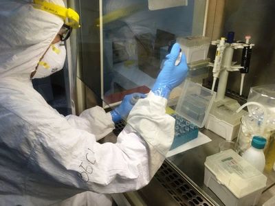 Casos de Covid-19 aumentan a 740 y se registra una nueva muerte