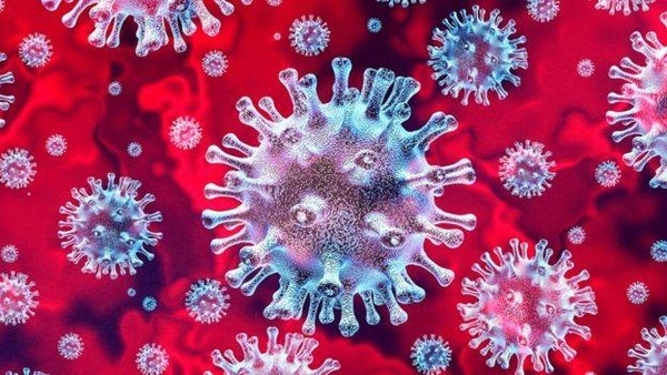 HOY / Alto Paraguay es el único departamento del país que queda libre de casos de coronavirus