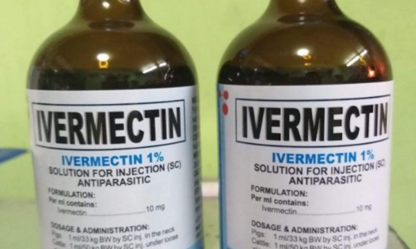 HOY / En Bolivia autorizan tratamiento del coronavirus con la ivermectina