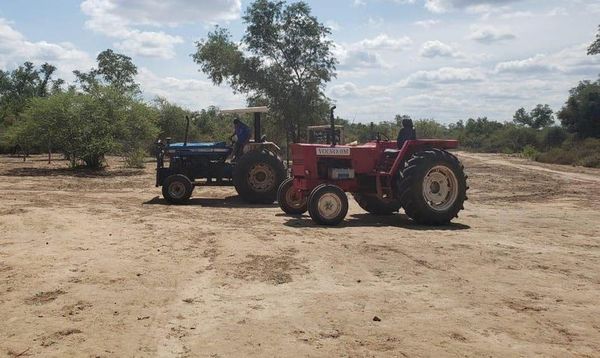 Indígenas denuncian inacción fiscal ante masiva deforestación de sus tierras por parte de ganaderos