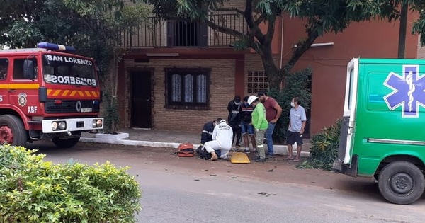 Un hombre cayó de un árbol en Florida