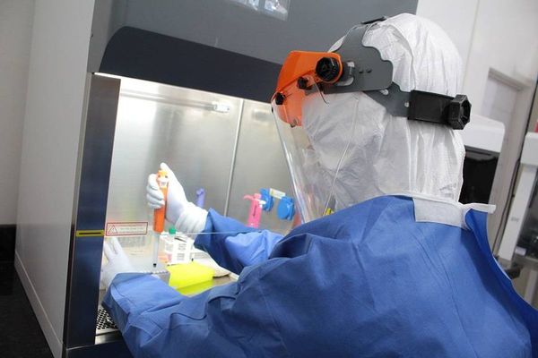 Paraguay recibirá sensores de fluorescencia para test rápido de COVID-19