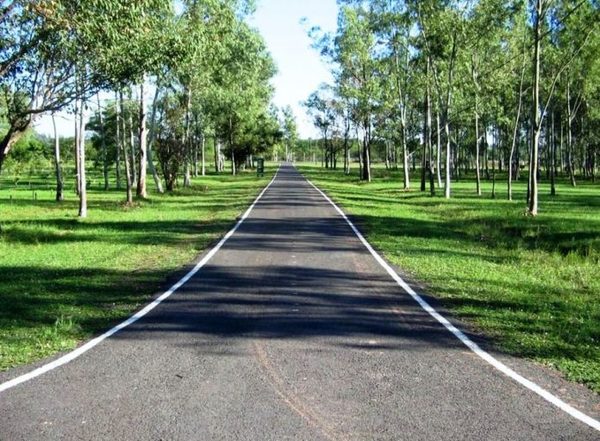 Parques Ñu Guasu y Guasu Metropolitano abren solo los días hábiles de la semana » Ñanduti