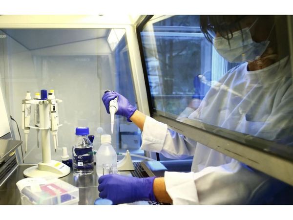 Con más de 100 proyectos sigue la carrera para hallar una vacuna