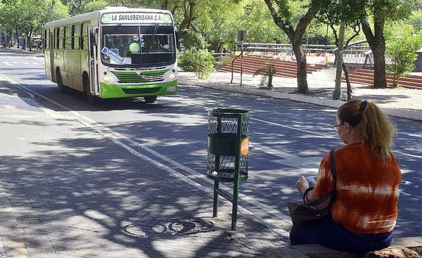 Prometen circulación de buses en los días feriados - Economía - ABC Color