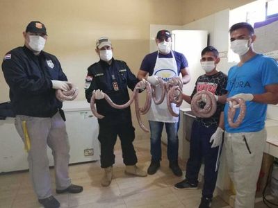 Reclusos de la cárcel de Misiones producen 500 kilos de chorizo misionero