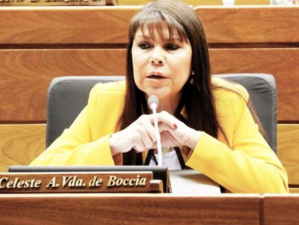 Diputada Celeste Amarilla: "Nos está tratando de decir que bajemos los decibeles, desde arriba mismo, el de más arriba” - ADN Paraguayo