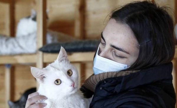 HOY / Coronavirus, gatos y humanos: cuidados ante riesgo de contagio