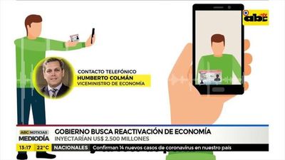 Gobierno busca reactivación económica  - ABC Noticias - ABC Color